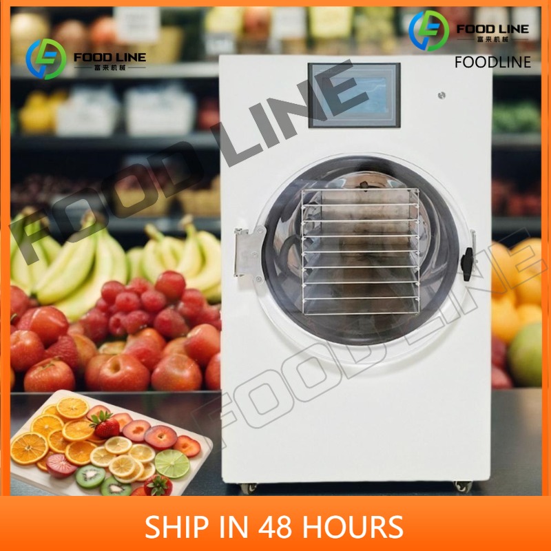 Food Storage For Long Term - Customized Stainless Steel Freeze Dryer Machine