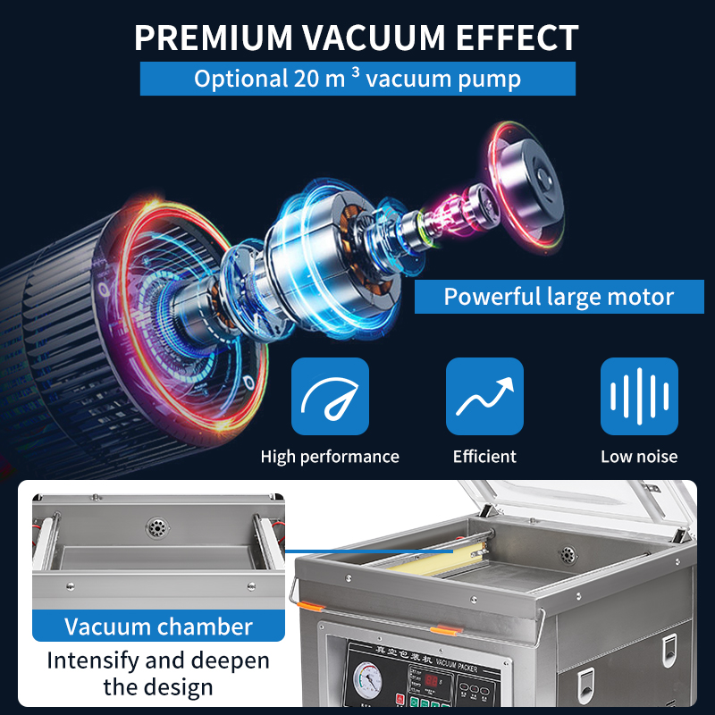 DZ-500 Professional Electric C - Food Storage For Long Term ulasan dan harga