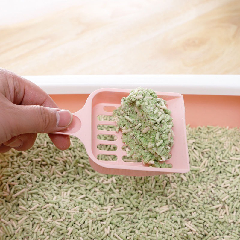 New Style High Value Cat Litte - Food Storage With Scoop ulasan dan harga