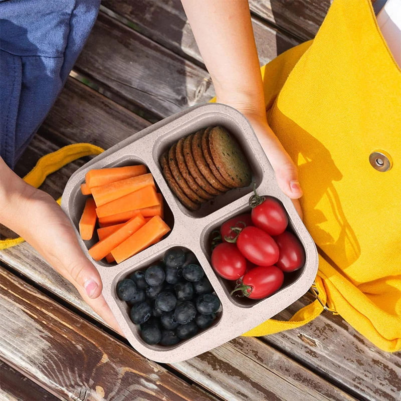 4 Grids Food Storage Box Porta - Food Storage With Compartments ulasan dan harga