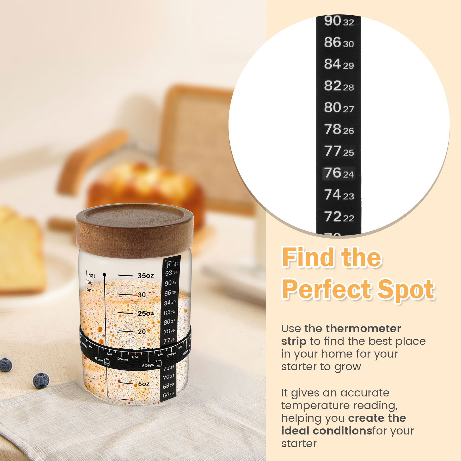 Sourdough Starter Jar Kit 1000 - Food Storage Containers Glass ulasan dan harga