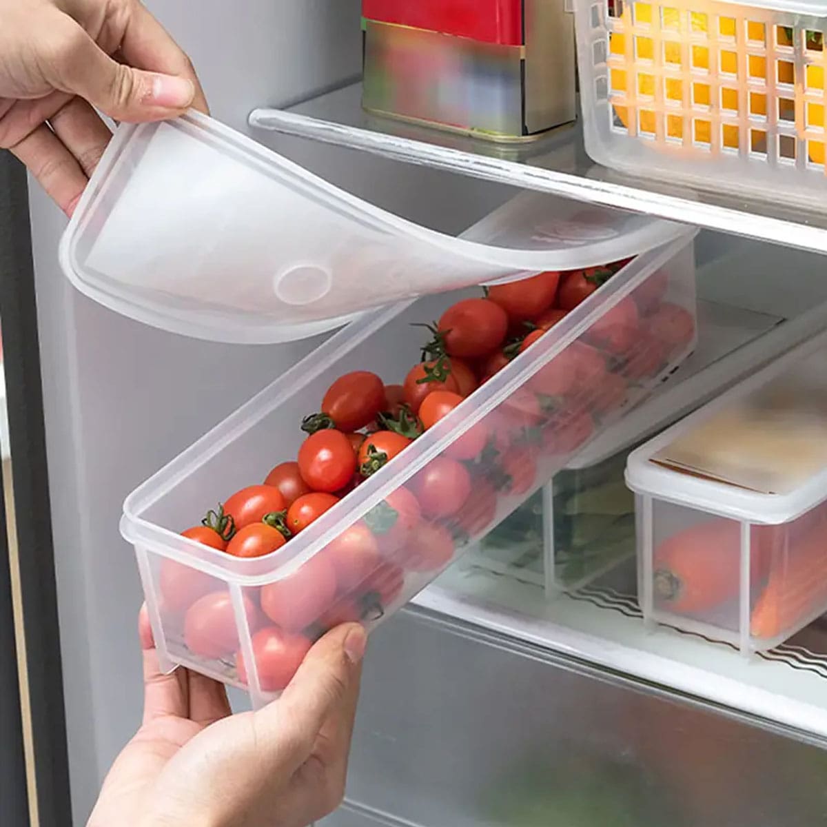 1 Plastic Transparent Storage  - Food Storage Ideas ulasan dan harga