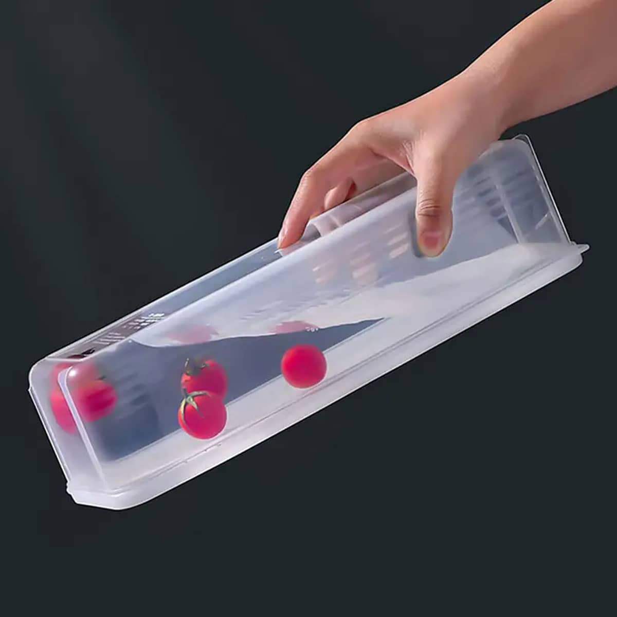 1 Plastic Transparent Storage  - Food Storage Ideas ulasan dan harga